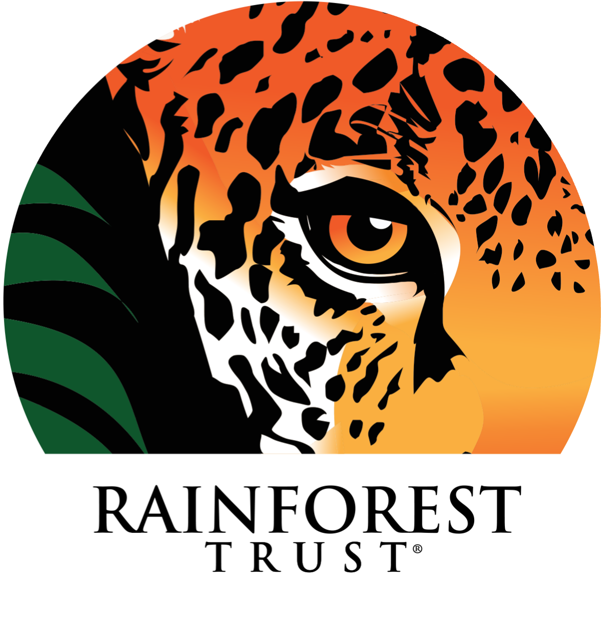 Rainforest Trust Logo