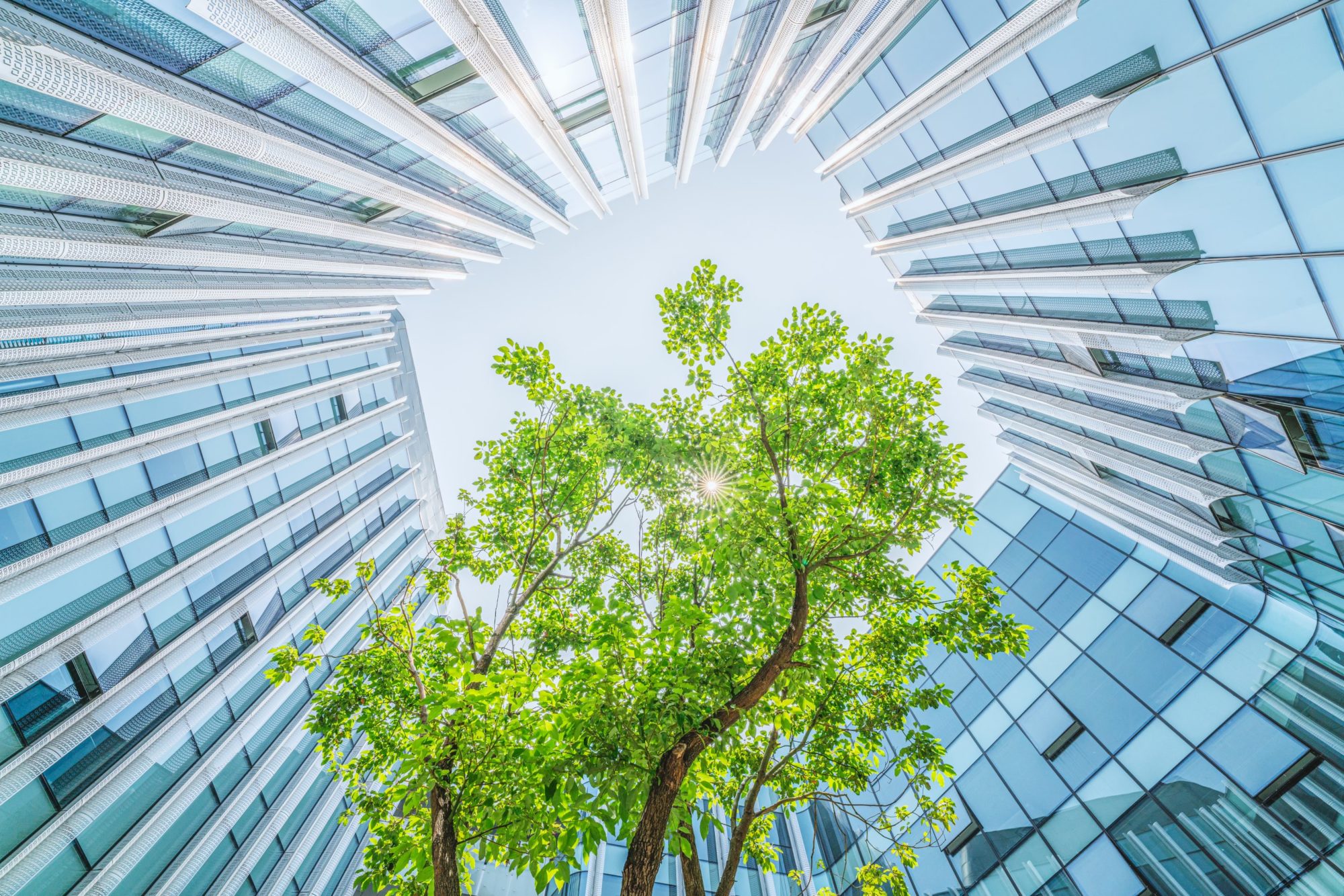 7 tips to make your business sustainably Net Zero whilst maintaining a competitive edge