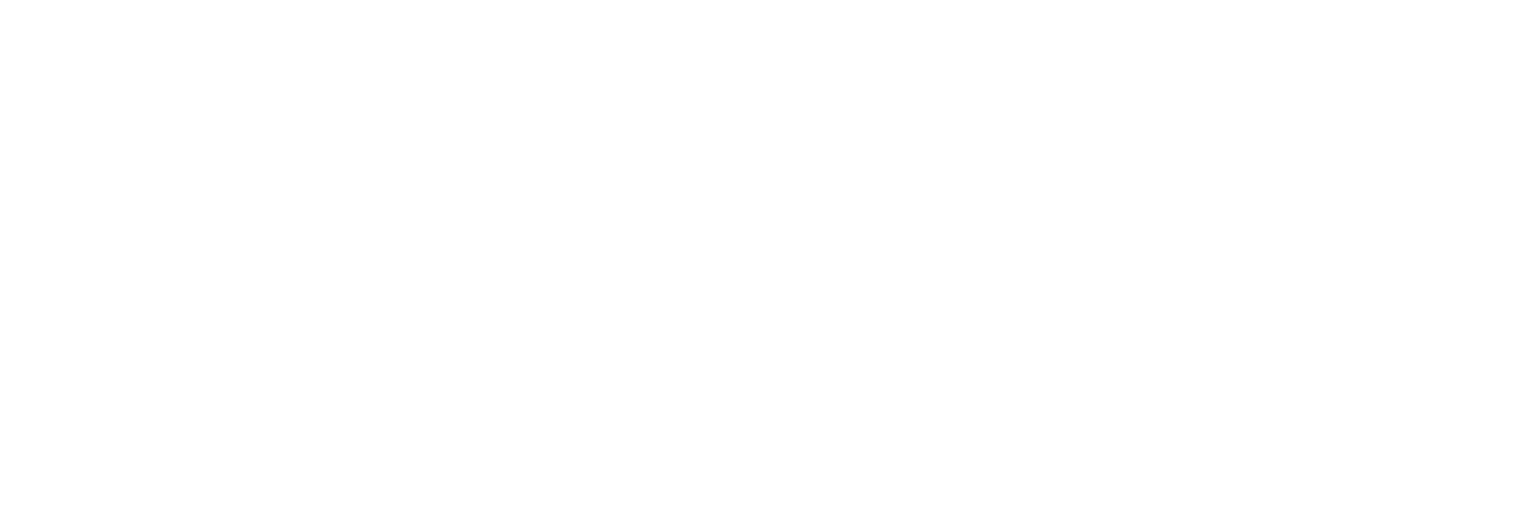 Slingshot Simulations White logo 1