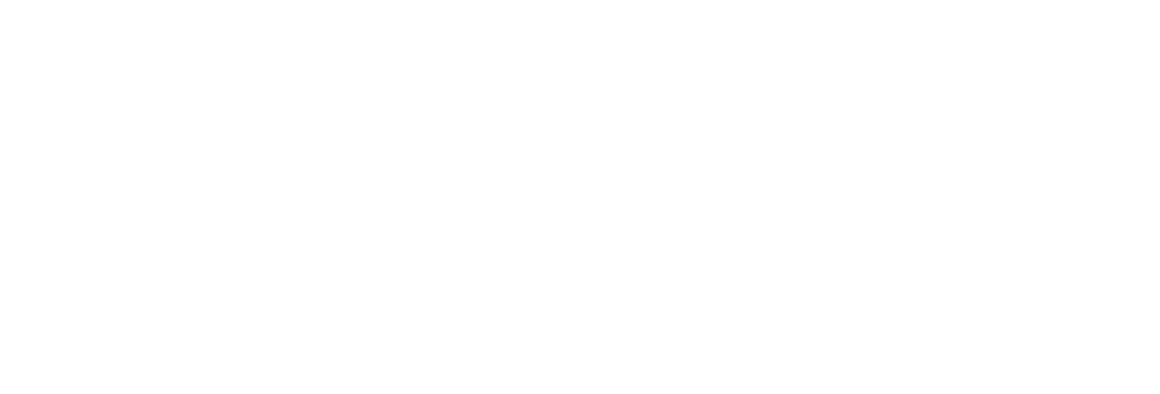 Slingshot Simulations White logo