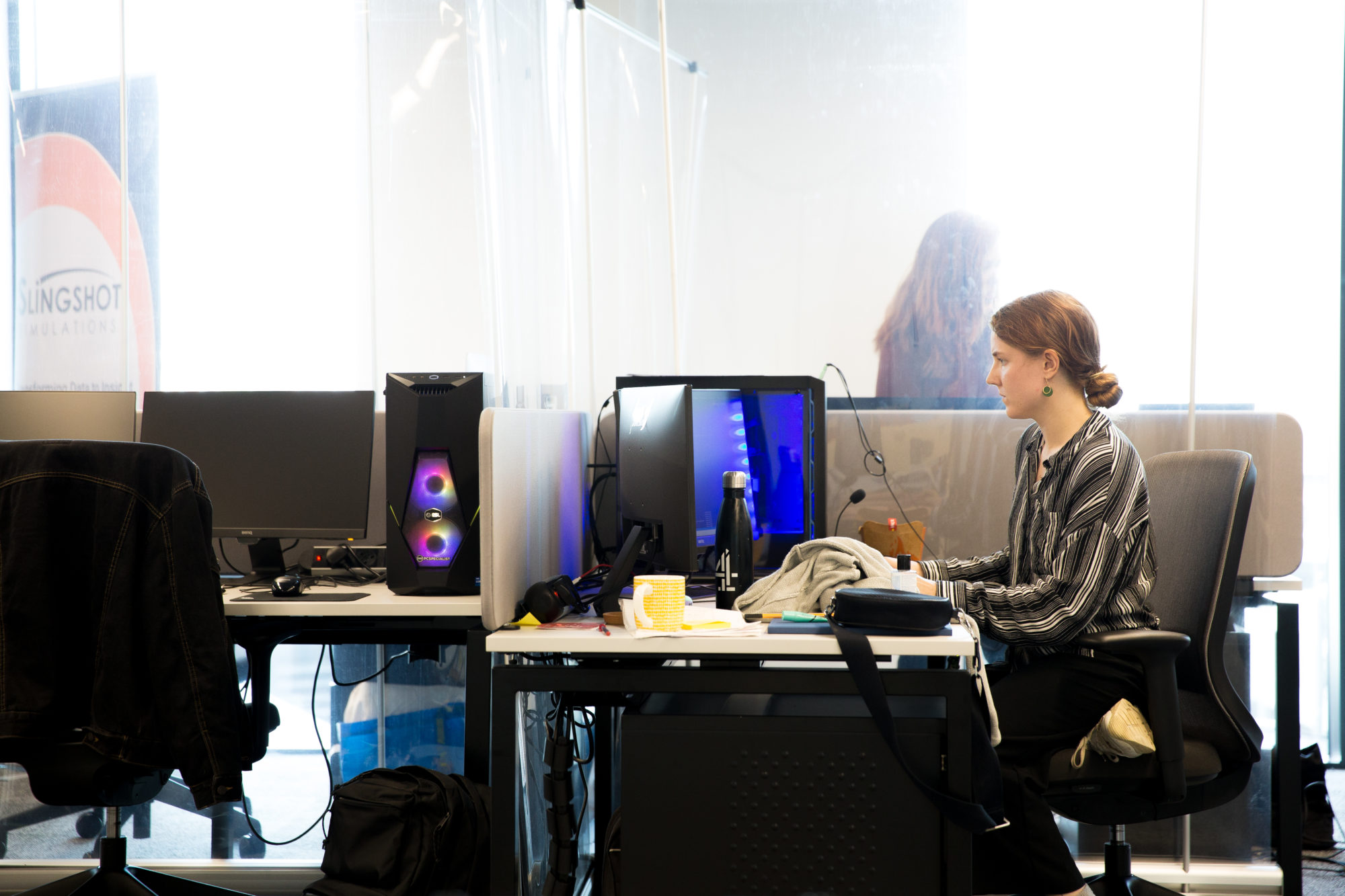 a software analyst working at her desk