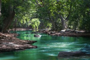 natural landscape with river and trees
