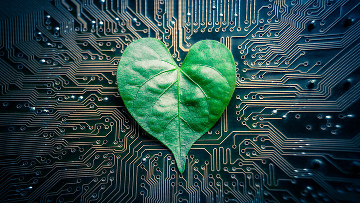 data board with heart-shaped leaf